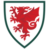 Wales matchtröja